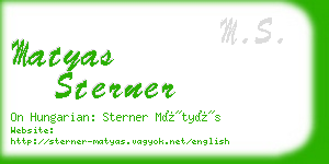 matyas sterner business card